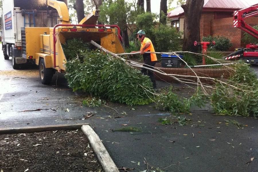 Groundsman feeding branches into a chipper in a car park