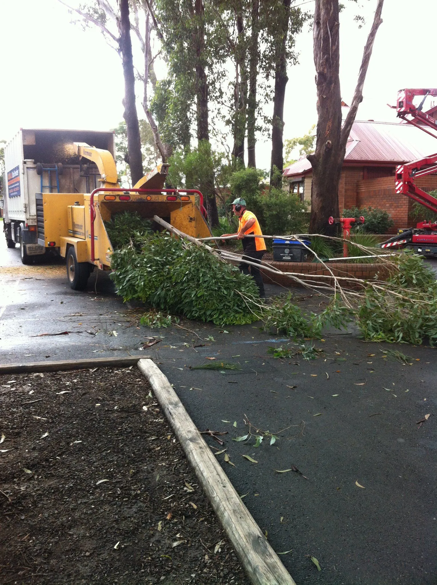 Groundsman feeding branches into a chipper at a commercial site