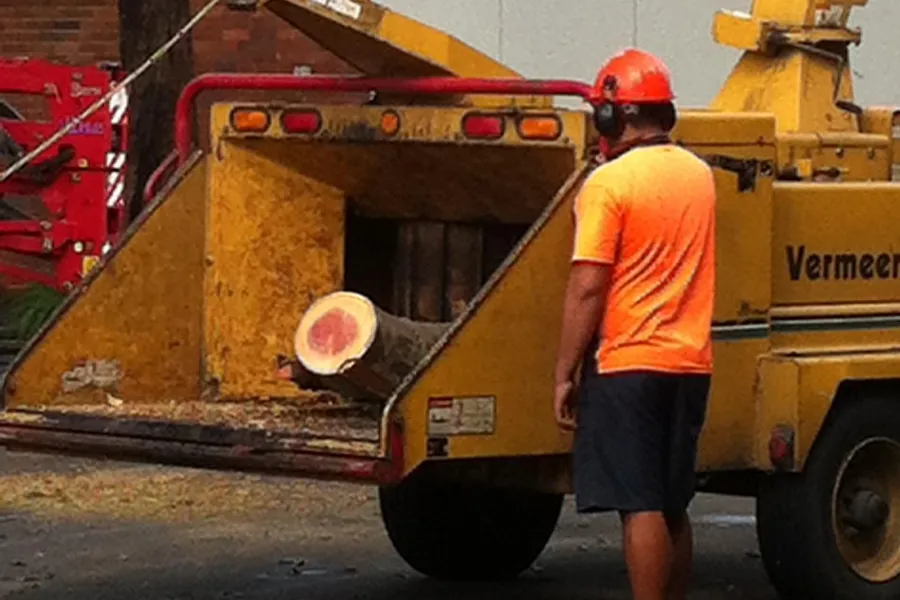 Groundsman in hi-vis beside a yellow chipper with a cut log