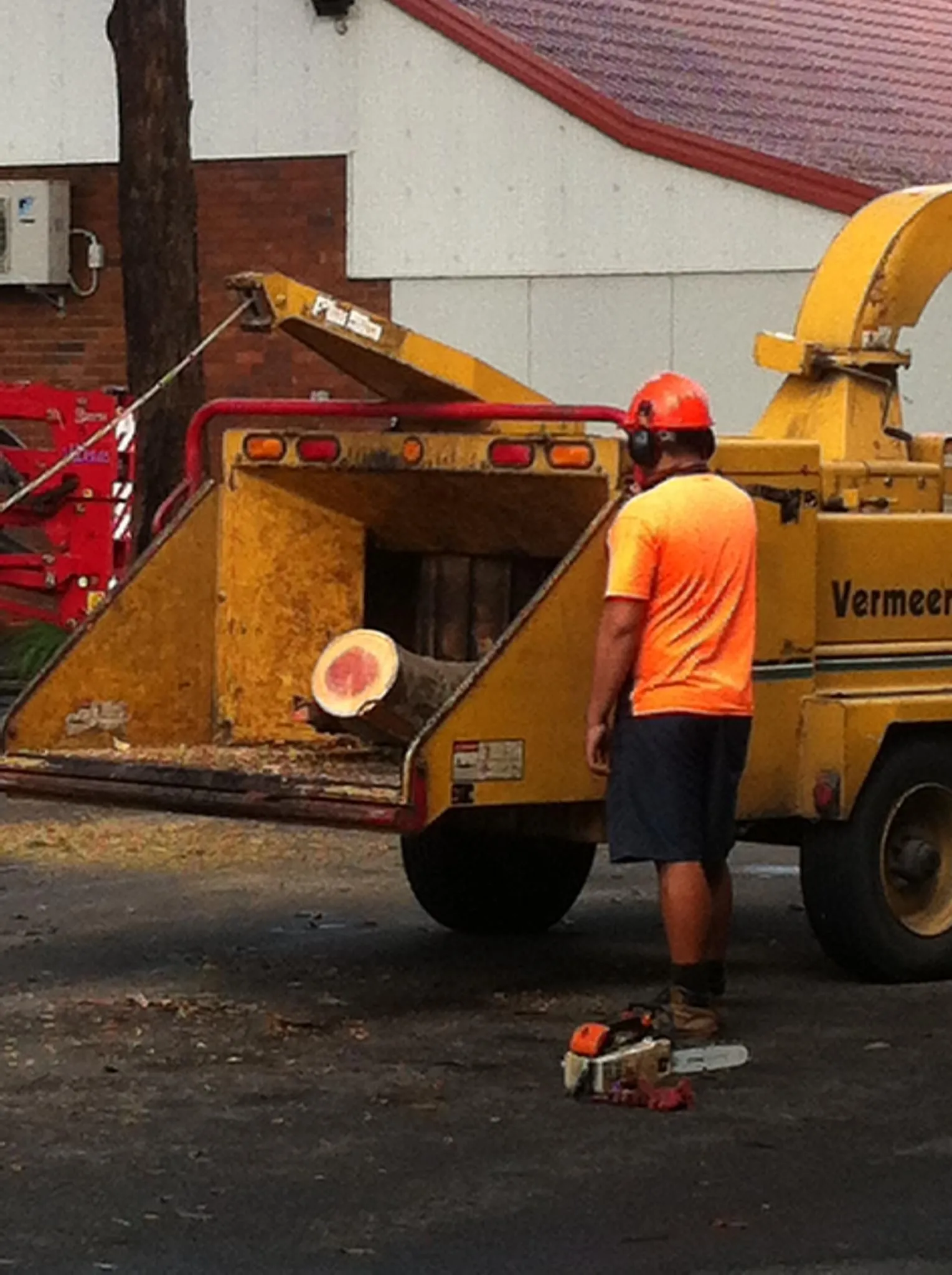 Groundsman in hi-vis beside a yellow chipper with a cut log