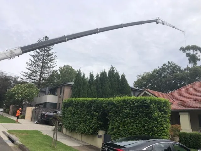 Crane lifting over a street hedge beside a suburban home