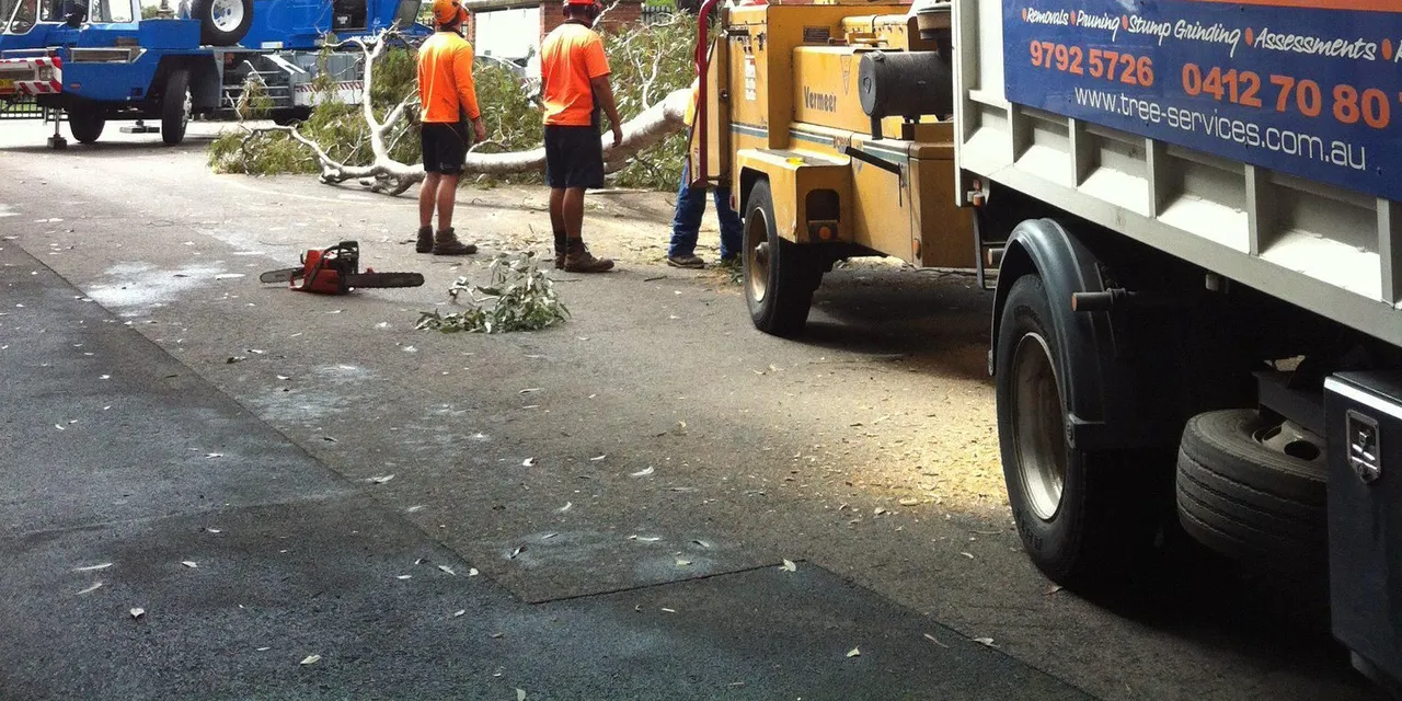 Above All Tree Services truck and crane on a street job
