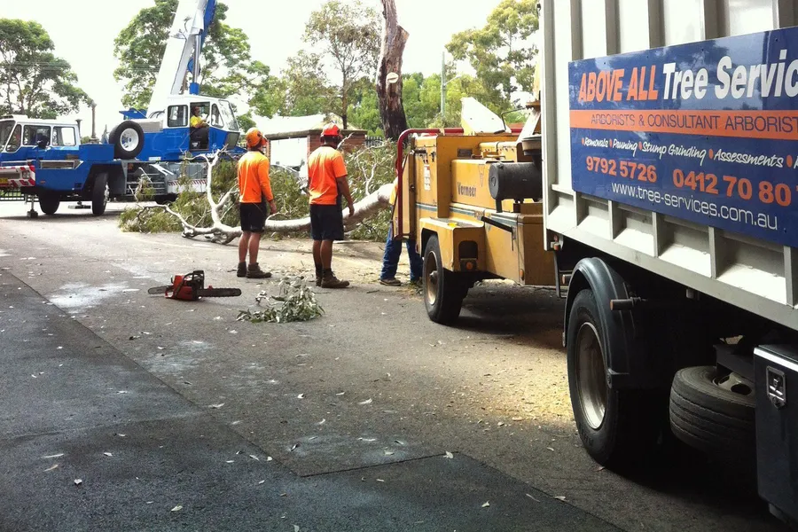 Above All Tree Services truck and a crane working on a suburban street