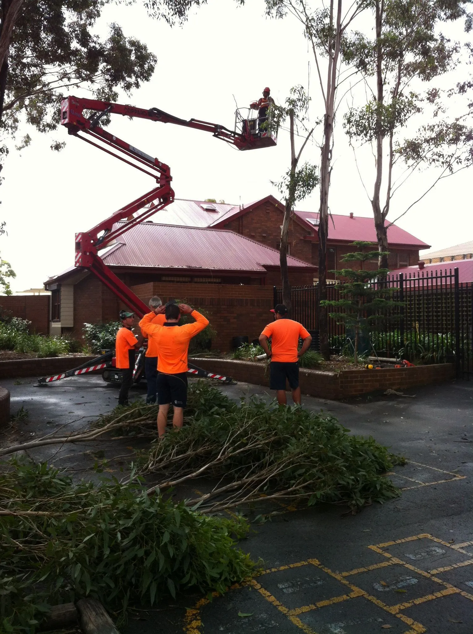 Crew with an elevated work platform pruning near a building