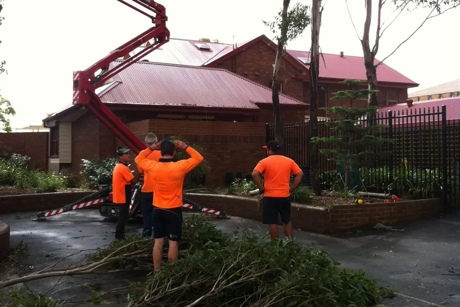 Crew with a red elevated work platform pruning next to a brick house